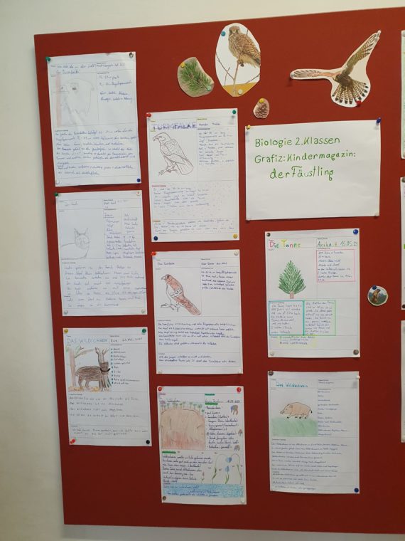 290f4ee3-2e5c-42df-a53d-7ad840e1e395