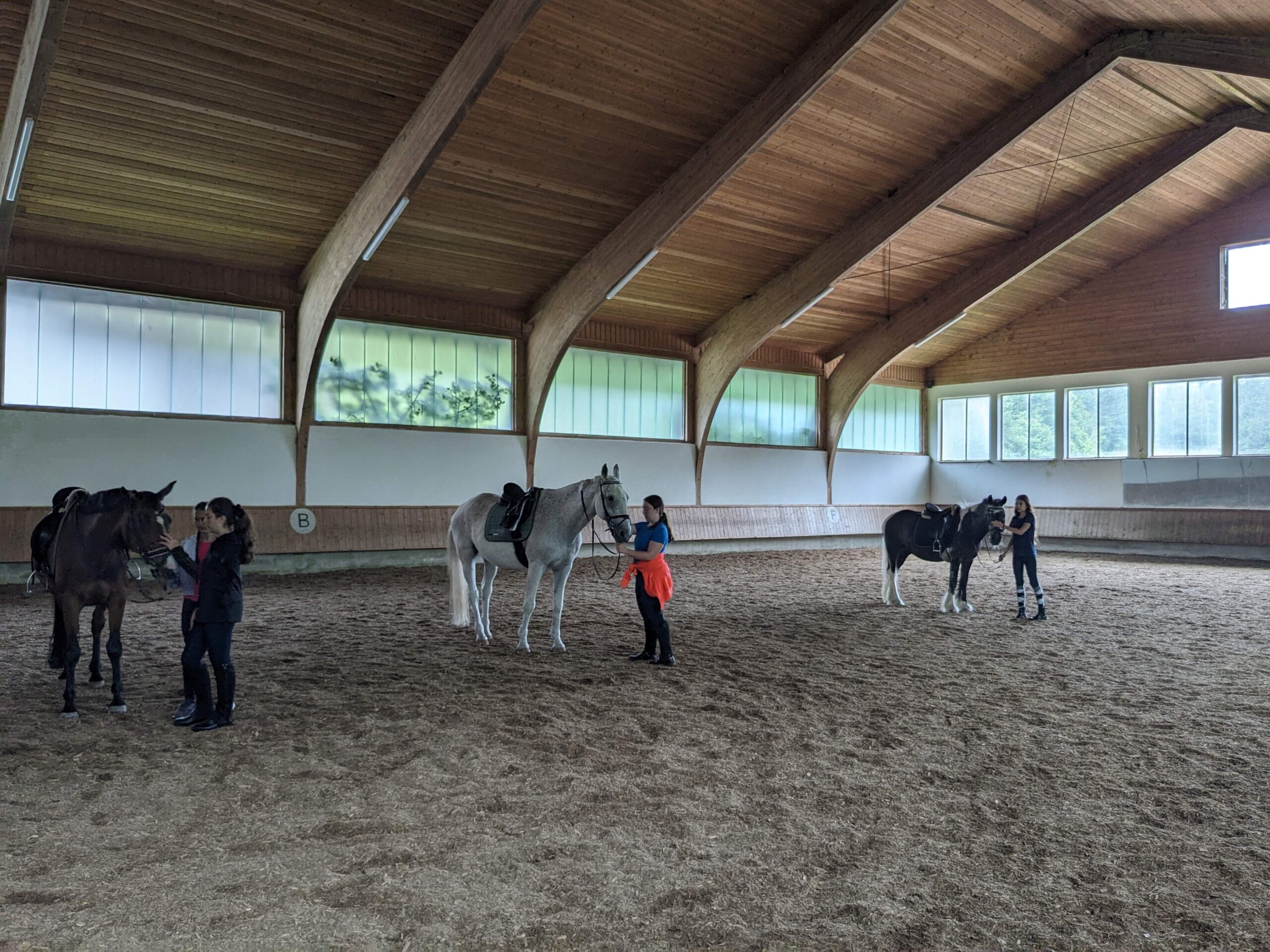 PXL_20240620_070033391