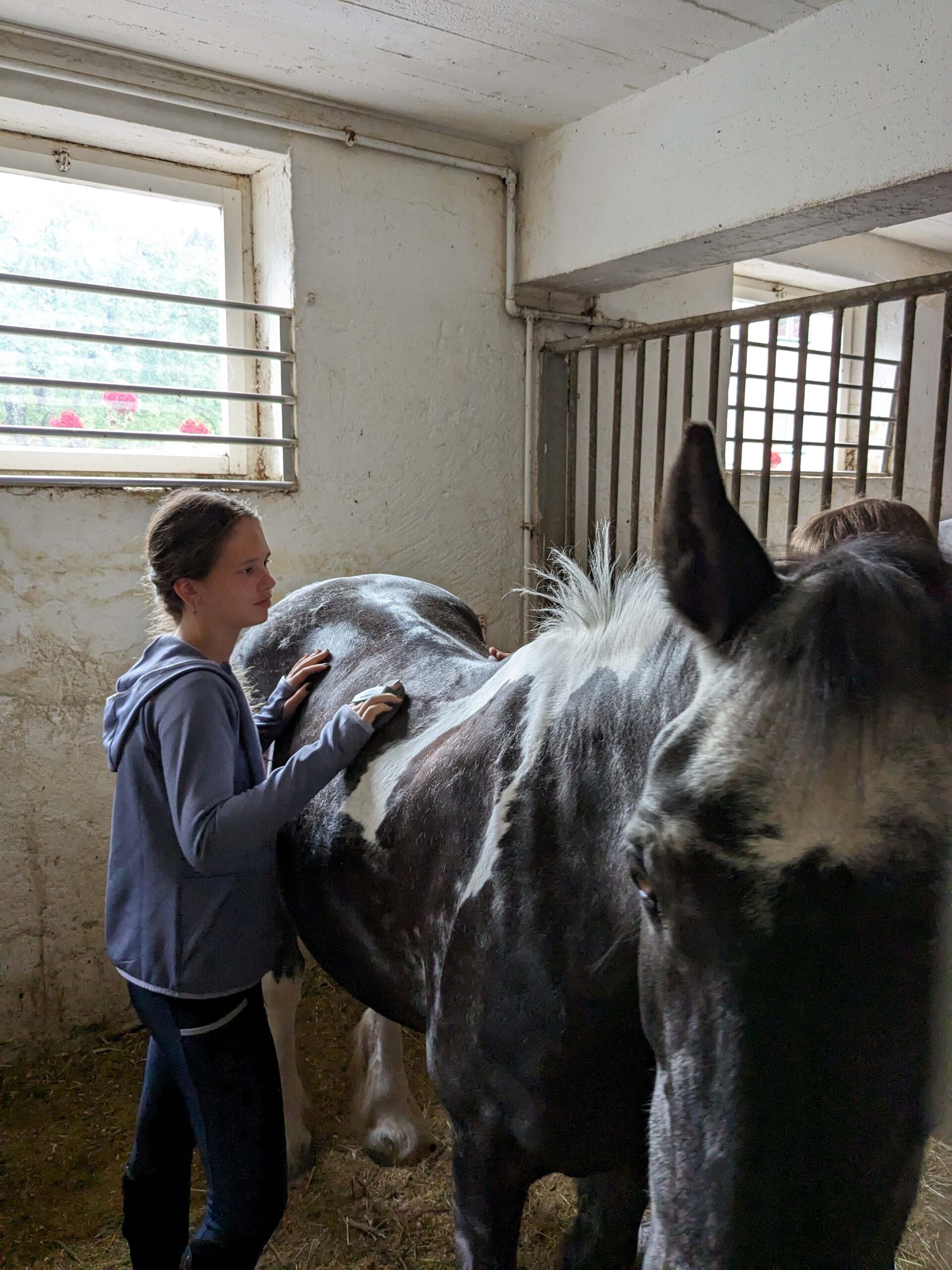 PXL_20240621_065111412.MP