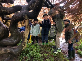 39b4684a-3d22-42d0-afd8-54b85a4759f4